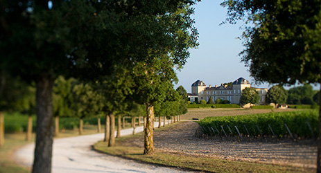 Chateau Calon-Ségur