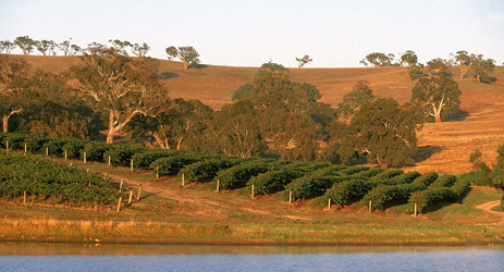 Australian wine regions