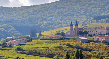 Exploring Burgundy - Beaujolais introduction