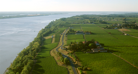 Chinese investors still keen on Bordeaux chateaux despite stock market woe