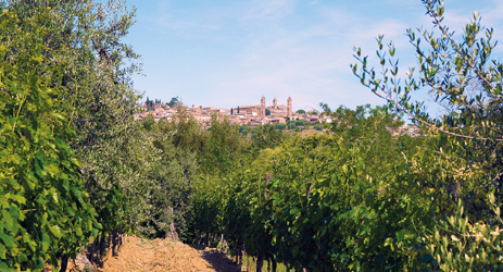 Italian wine regions (III) - Tuscany