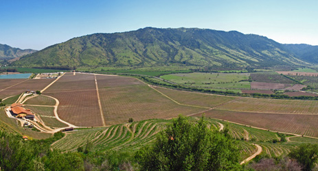 Viña Santa Cruz © José Porras