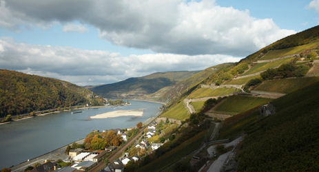 German wine regions (I) - Mosel Valley and Rheingau