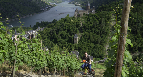 German wine regulations (II) - Tafelwein, Qualitätswein and Pradikätswein