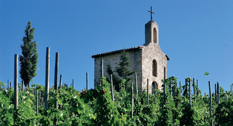 Regions in the Northern Rhone - Cote-Rotie, Condrieu, Hermitage