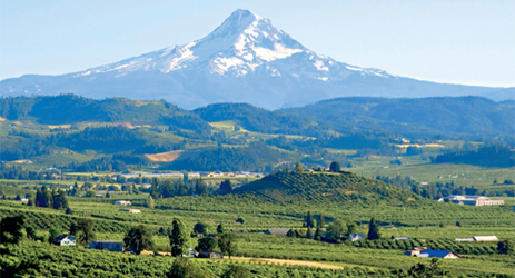 Wines from Oregon and Washington