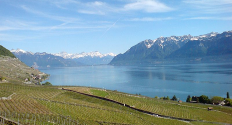 Swiss wine regions