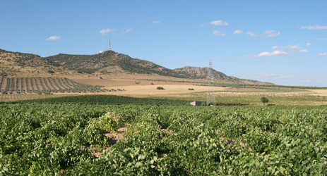 Spanish wine regions