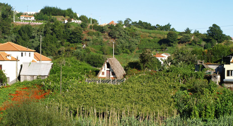 Fortified Portugal wine - Madeira