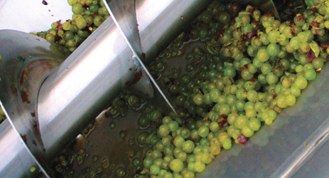 How are white wines made?