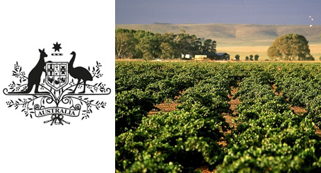 Chinese buyers of Australian vineyards face tougher scrutiny