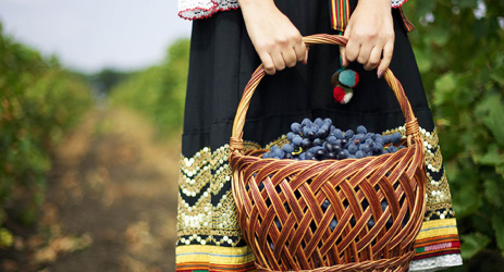 Chinese government helps to promote Moldovan wines