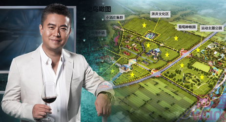 Chinese online retailer Wangjiu plants own vineyard