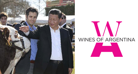 China success ‘won’t happen overnight’, says Wines of Argentina