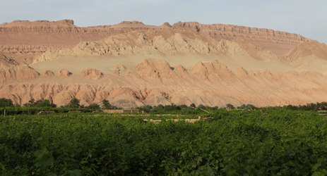 First Xinjiang wine regions expected to receive geographic indication protection