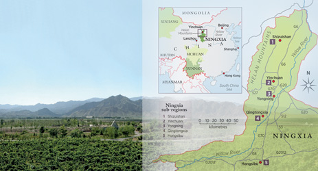 Ningxia: a name to watch