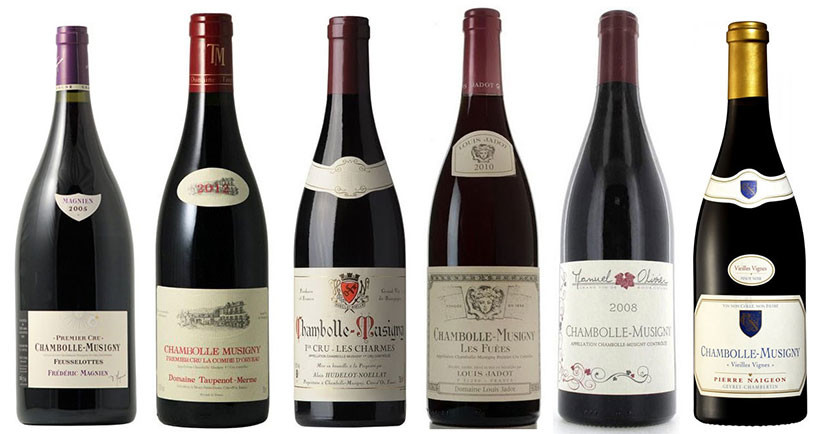 8 of the top Chambolle-Musigny 2014s from Decanter Panel Tasting