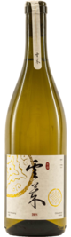 Jinyu Yunlai, Petit Manseng, Yantai, Shandong, China 2024