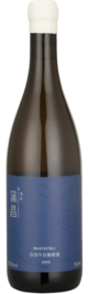 Puchang Vineyard, Rkatsiteli, Turpan, Xinjiang, China 2023