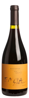 朱卡迪酒庄,Emma Zuccardi Bonarda干红葡萄酒,乌格河谷,门多萨,阿根廷 2013