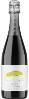 Devo Winery, Mv04 Brut Nature, Helan Mountain East, Ningxia, China NV