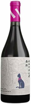 September Helan, Glory Jade Reserve Shiraz, Helan Mountain East, Ningxia, China 2020