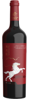 宁夏天元红生态农业科技有限公司, 天元红大师级珍藏美乐干红葡萄酒, 贺兰山东麓, 宁夏, 中国 2023