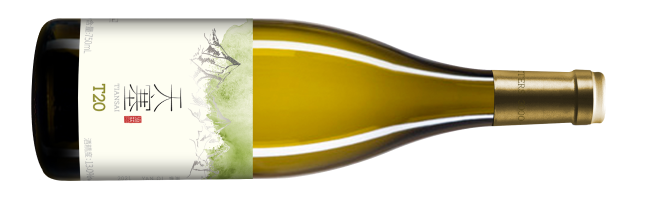 Tiansai Vineyards, T20 Chardonnay, Yanqi, Xinjiang, China 2021