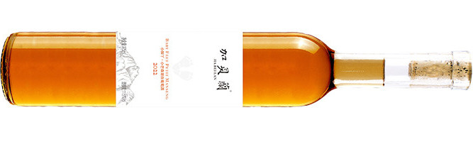 Helan Qingxue Vineyard, Jia Bei Lan Baby Feet Petit Manseng, Helan Mountain East, Ningxia, China 2022