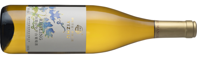 Yizhu Winery, Riesling, Yili, Xinjiang, China 2024
